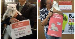 ‘Dever cumprido’, diz autor de ação que liberou animais no metrô