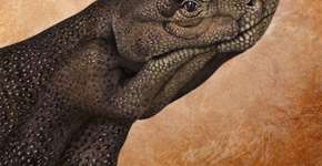 Foto: (Imagem sem texto alternativo disponivel ID [682793])