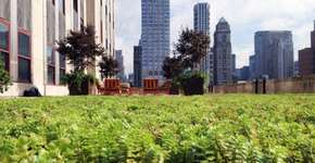 Foto: (Imagem sem texto alternativo disponivel ID [502794])