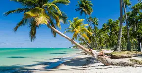 Foto: (Istock/Thiago Santos)