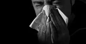 Foto: (Andres Nieto Porras)