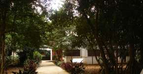 Foto: (Imagem sem texto alternativo disponivel ID [1849674])