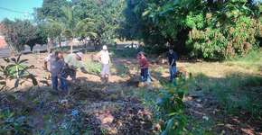 Foto: (Imagem sem texto alternativo disponivel ID [1065833])