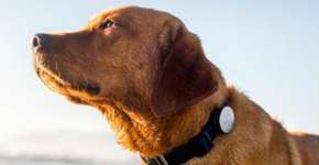 Site ajuda a negociar móveis em desuso