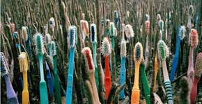 Série de fotos mostra os efeitos do lixo na natureza