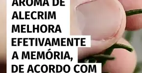 Cheiro de alecrim pode turbinar a memória, revela pesquisa recente