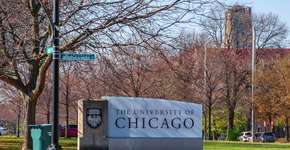 Foto: (Dawid S Swierczek/iStock)