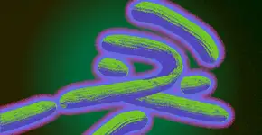 Foto: (smartboy10/istock)