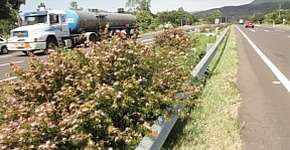 Foto: (Imagem sem texto alternativo disponivel ID [1861387])