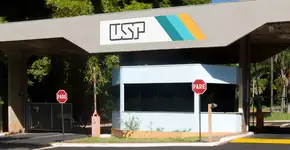 USP libera mil livros para baixar de graça; saiba como