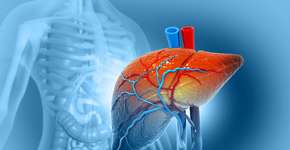 Estes 20 alimentos são ricos em vitamina K e ajudam na saúde do fígado