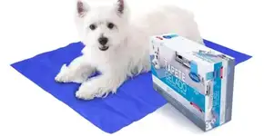 Tudo para o seu pet: tapetes gelados, fontes automáticas, escadas e mais com até 70% OFF