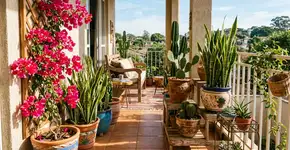 5 plantas extremamente fáceis de cultivar para a varanda, que permanecem viçosas com poucos cuidados