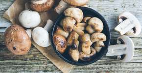 Foto: (RistoArnaudov/istock)