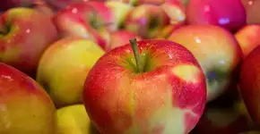 Foto: (Imagem sem texto alternativo disponivel ID [856549])