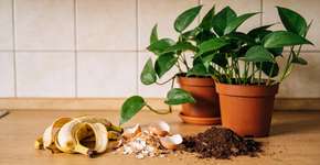 Foto: (Imagem sem texto alternativo disponivel ID [2696045])