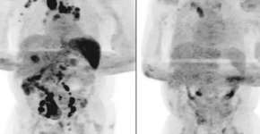 Foto: (reprodução)