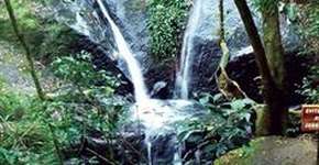 Foto: (Imagem sem texto alternativo disponivel ID [1860374])