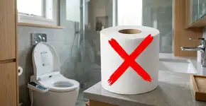 O fim de uma era: o que substituirá o papel higiênico nos lares?