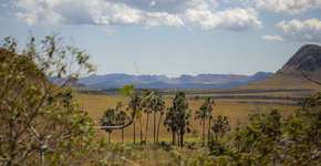 Foto: (Saulo Veiga/Goiás Turismo)