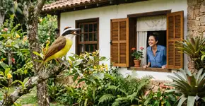 O que significa escutar Bem-te-vis na sua casa ou jardim e por que isso é um bom sinal?