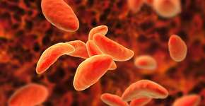 Foto: (Dr_Microbe/istock)