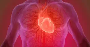 O alimento proteico comum que pode proteger contra doenças cardíacas