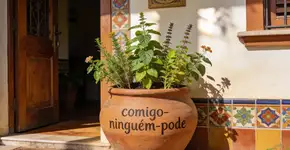 Foto: (Imagem sem texto alternativo disponivel ID [2677353])