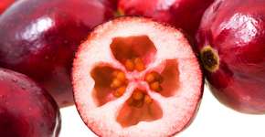 Foto: (iStock/ligora)