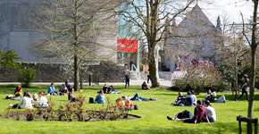 Mentoria gratuita para quem quer estudar na Irlanda