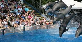 Foto: (Imagem sem texto alternativo disponivel ID [898369])