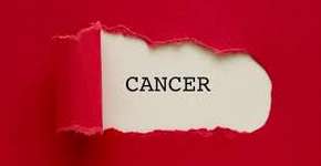 Foto: (Imagem sem texto alternativo disponivel ID [1561139])