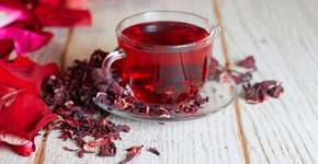 Plantas medicinais: 15 opções para utilizar em chás