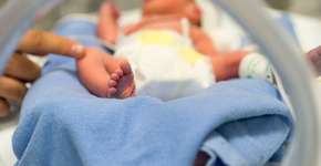 Foto: (Imagem sem texto alternativo disponivel ID [1610813])