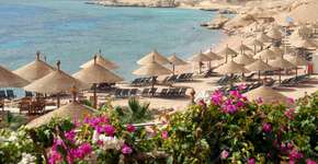 Foto: (Istock/brytta)