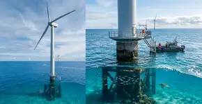 Eles construíram turbinas para gerar energia… Mas, sem perceber, eles estão trazendo a vida marinha de volta a um lugar onde tudo estava morto