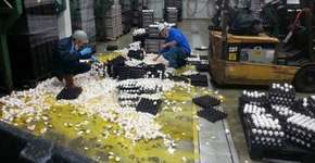 Foto: (Imagem sem texto alternativo disponivel ID [1135972])