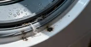 Foto: (Imagem sem texto alternativo disponivel ID [2672137])