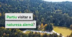 Criticada por Bolsonaro, Alemanha publica vídeo sobre florestas