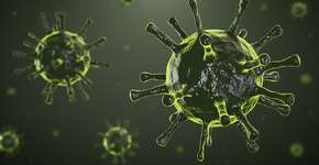 Foto: (iStock/happyphoton)