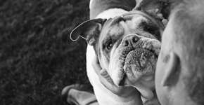 Foto: (Imagem sem texto alternativo disponivel ID [532758])