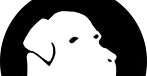 Foto: (Imagem sem texto alternativo disponivel ID [1844078])