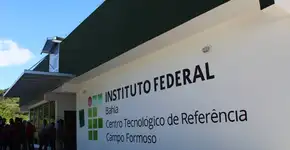 Foto: (Divulgação)