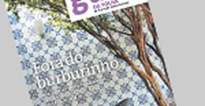 Foto: (Imagem sem texto alternativo disponivel ID [1843269])