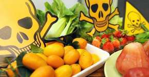 Foto: (Imagem sem texto alternativo disponivel ID [964435])