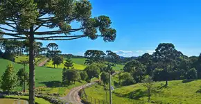 Gol faz promoção relâmpago de passagens a partir de R$ 141,16