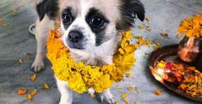 Foto: (Imagem sem texto alternativo disponivel ID [736701])