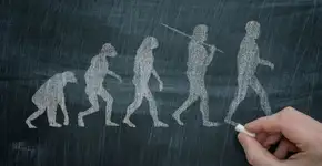 Foto: (Imagem sem texto alternativo disponivel ID [1834177])