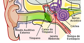Foto: (Imagem sem texto alternativo disponivel ID [1850047])