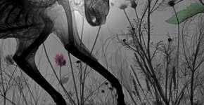 Artista retrata animais e plantas de um jeito diferente: por dentro